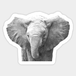 Black and White Baby Elephant Sticker